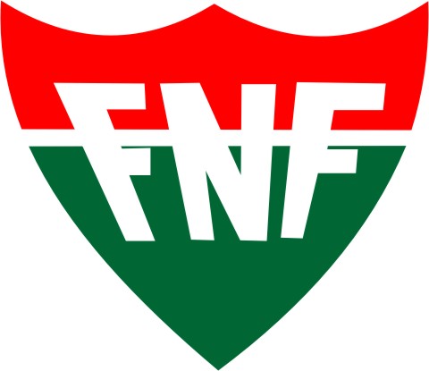 Resultado de imagem para FNF